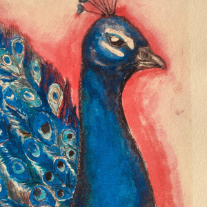 peacock-stanley-reprod